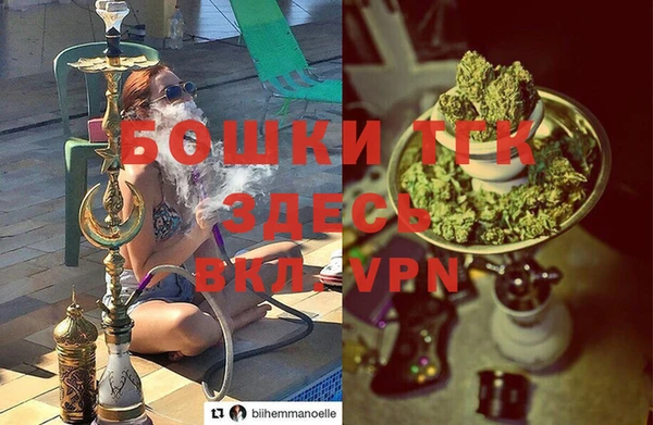 PSILOCYBIN Баксан